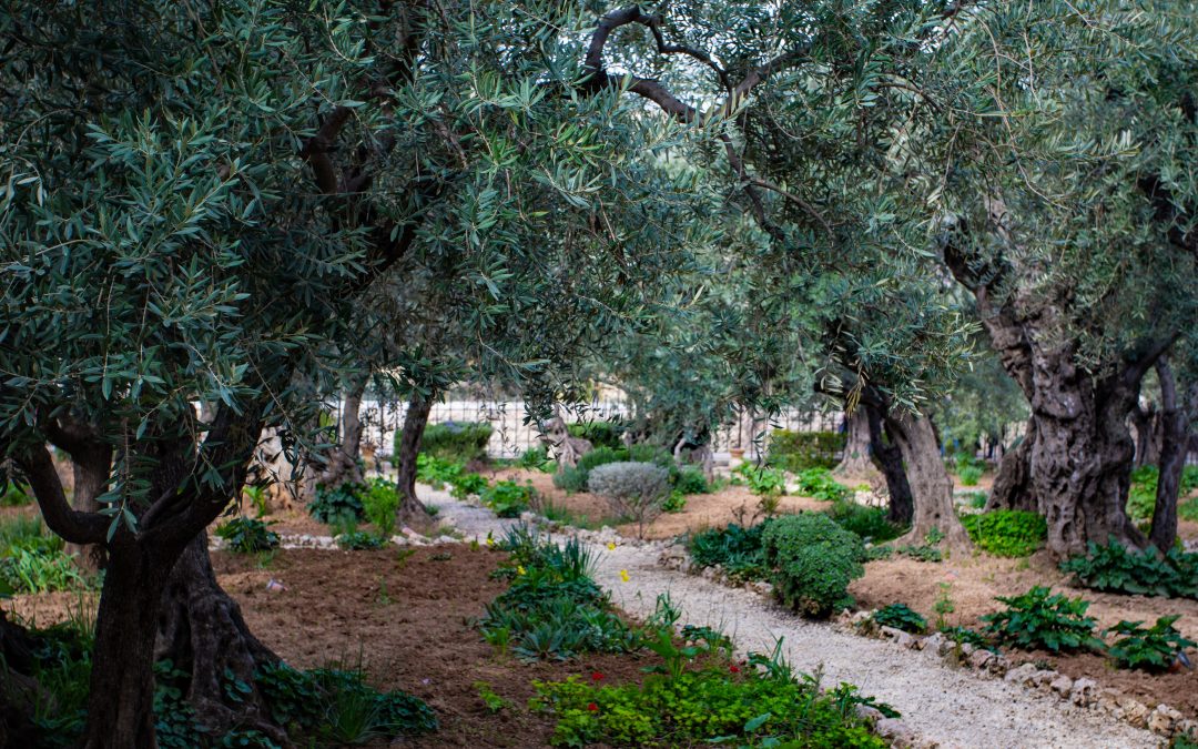 A Gethsemane Decision